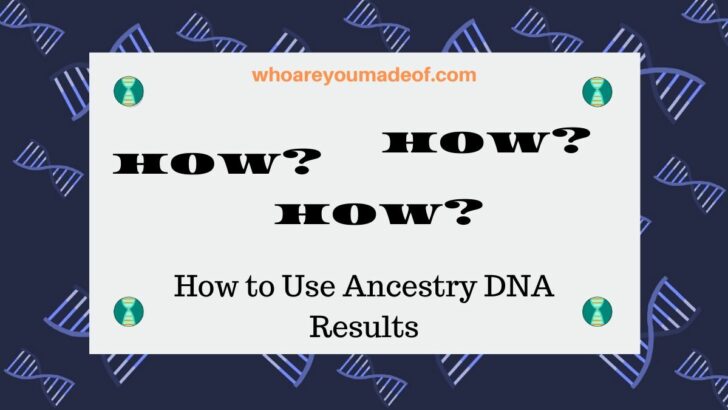 How to Use Ancestry DNA Results
