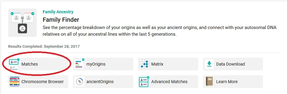Click on "Matches" - the first option under the Family Finder heading - to access your DNA matches