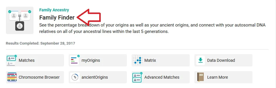 How to access Family Finder results on FTDNA - the red arrow points to the section header