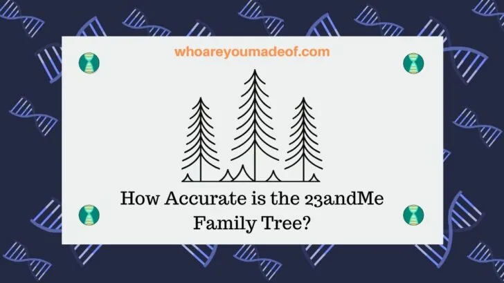 How Accurate is the 23andMe Family Tree_