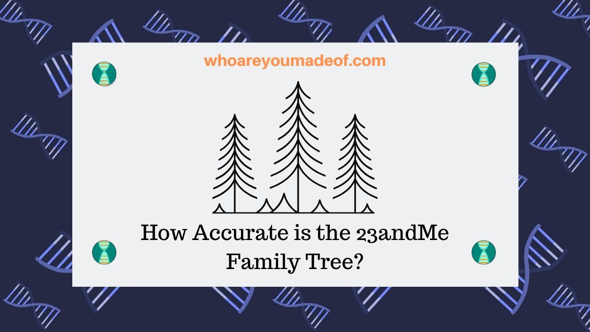 How Accurate is the 23andMe Family Tree_