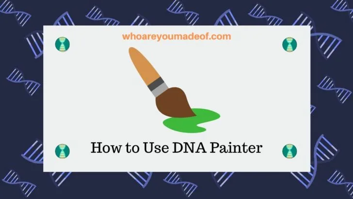 How to Use DNA Painter