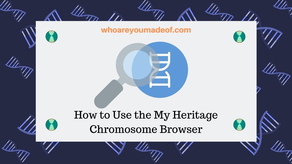 How to Use the My Heritage Chromosome Browser