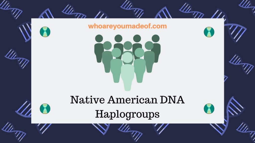 Native American DNA Haplogroups Who are You Made Of?