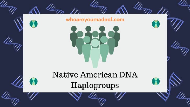 Native American DNA Haplogroups
