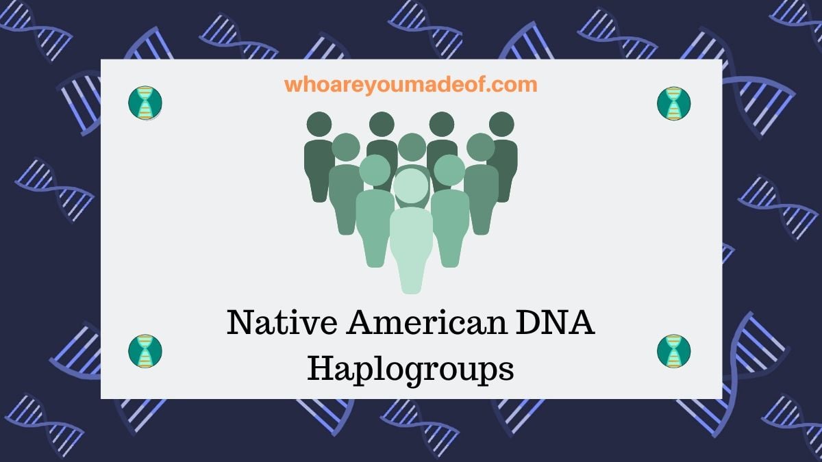Native American Dna Haplogroups Who Are You Made Of