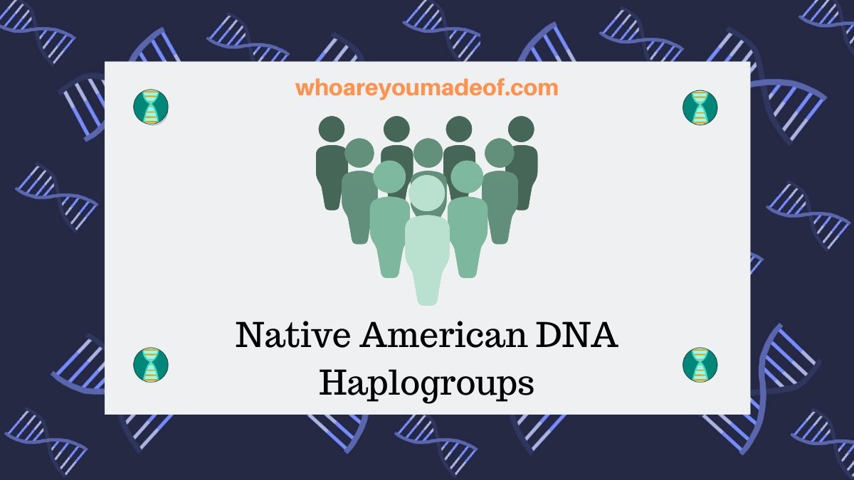 Native American Dna Haplogroups Who Are You Made Of