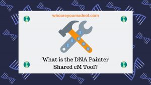 What Is The DNA Painter Shared CM Tool? - Who Are You Made Of?