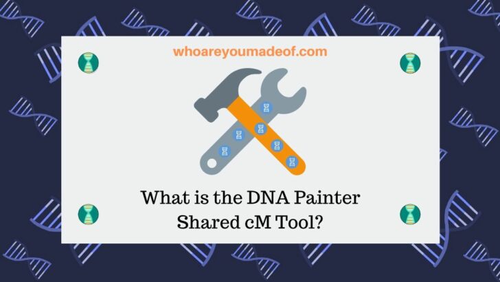 What is the DNA Painter Shared cM Tool_