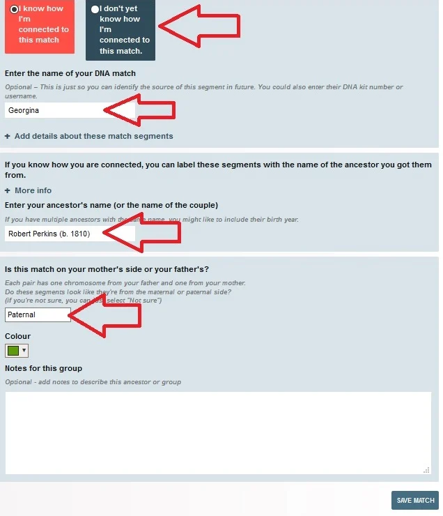 This image shows the four most important pieces of information that need to be entered about your DNA match in order to paint the data into your profile