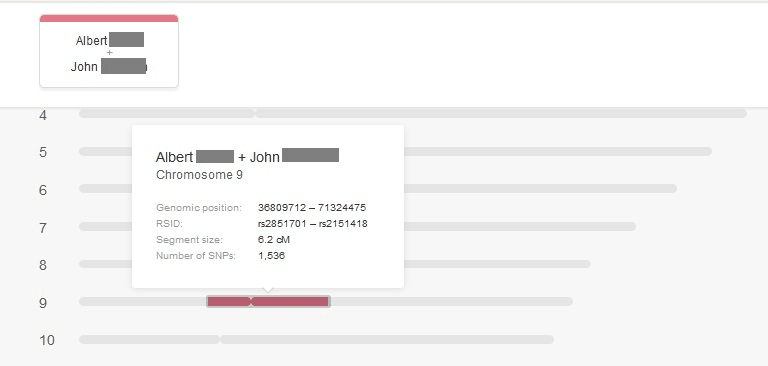 myheritage chromosome browser example with one single shared DNA segment painted in red