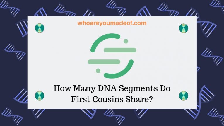 How Much DNA Do You Share With A Sibling? - Who Are You Made Of?