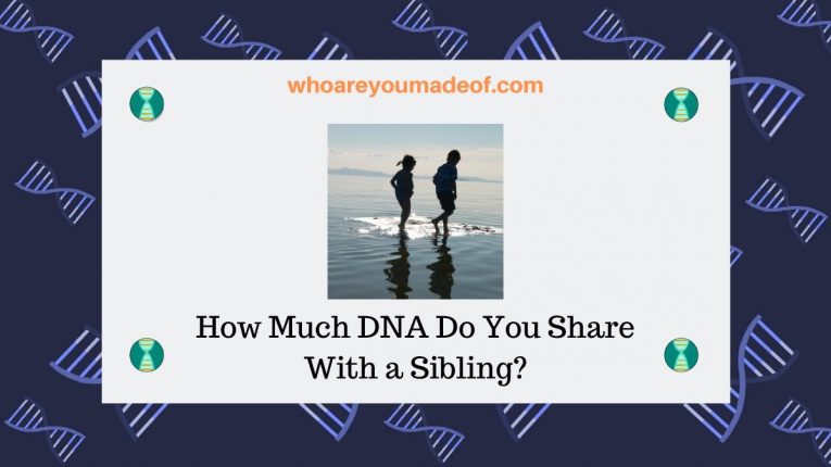 How Much DNA Do You Share With A Sibling? - Who Are You Made Of?