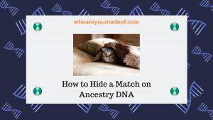 how can i sort my dna matches on ancestry