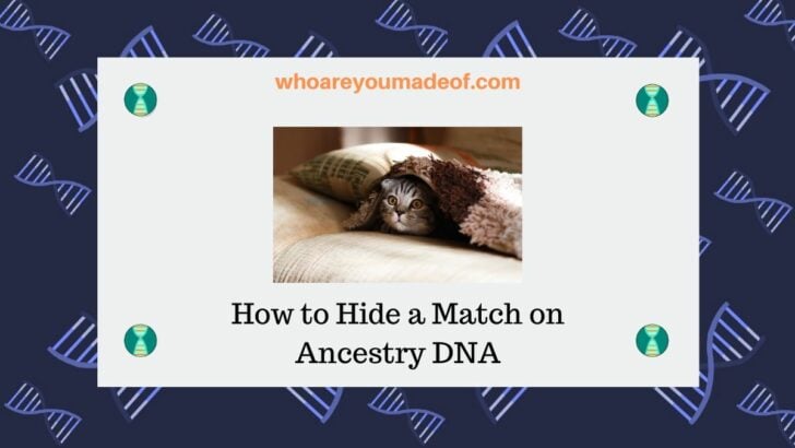 How to Hide a Match on Ancestry DNA