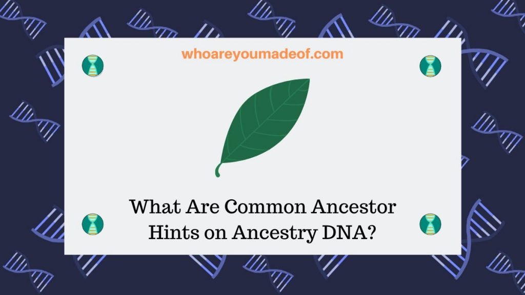 What Are Common Ancestor Hints On Ancestry DNA? - Who Are You Made Of?