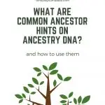 What Are Common Ancestor Hints on Ancestry DNA_(1)