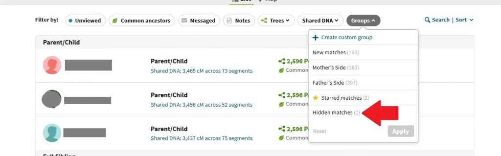 how to filter to see only hidden matches on ancestry