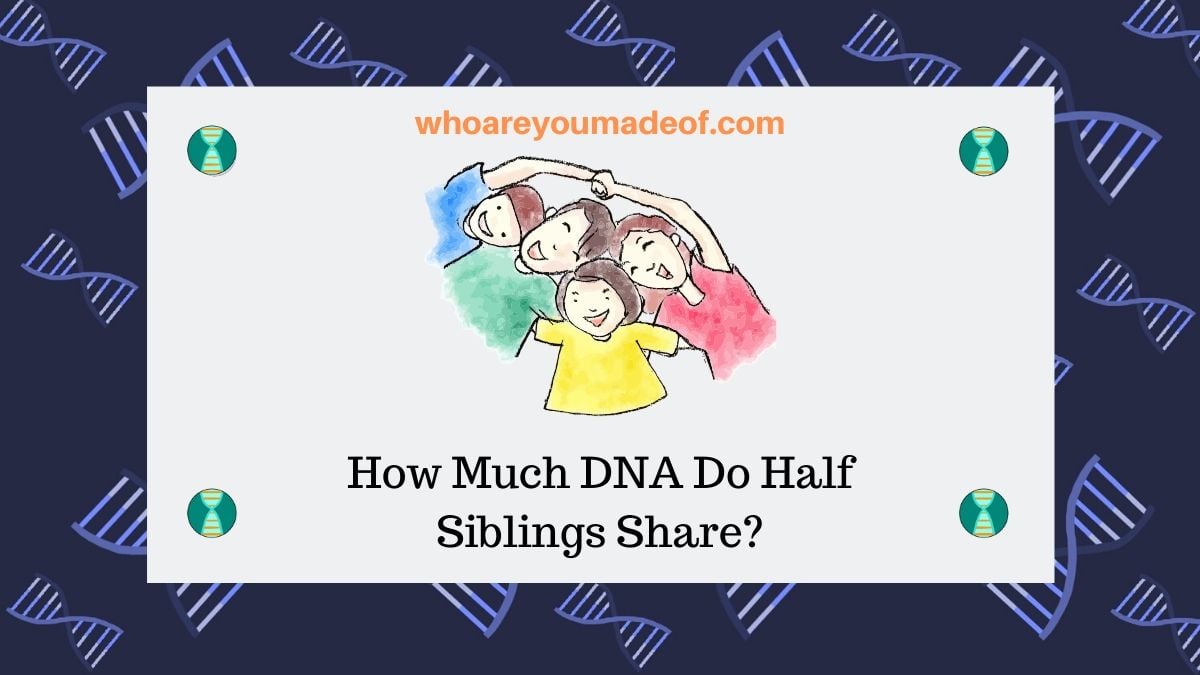 How Much DNA Do Half Siblings Share_