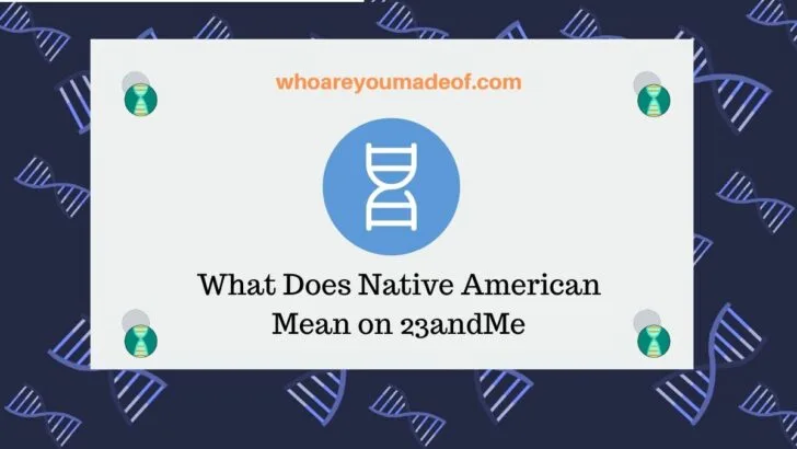 What Does Native American Mean on 23andMe