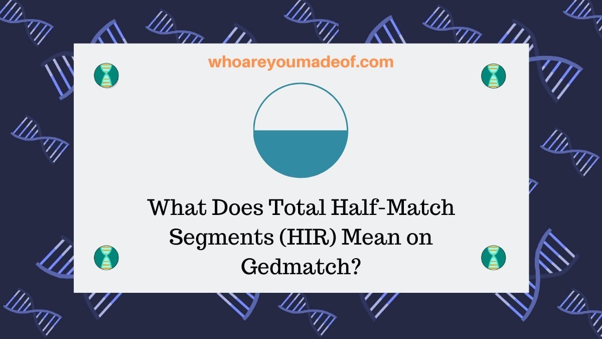 What Does Total Half-Match Segments (HIR) Mean on Gedmatch_