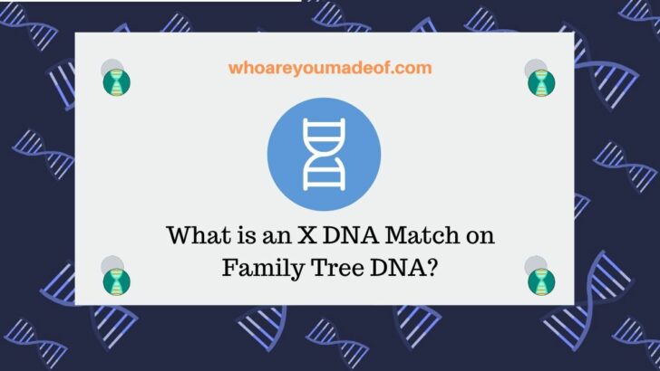 What is an X DNA Match on Family Tree DNA