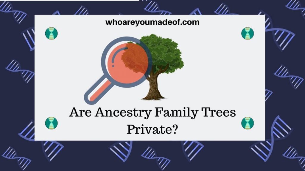 Are Ancestry Family Trees Private