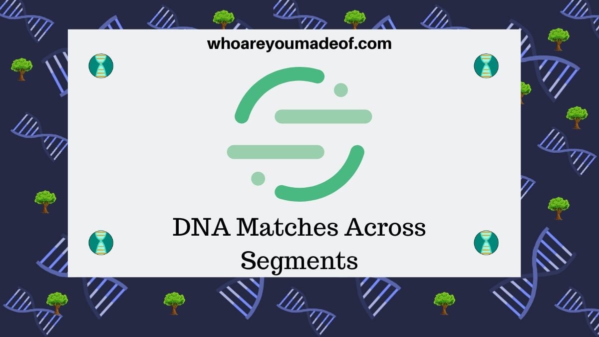DNA Matches Across Segments