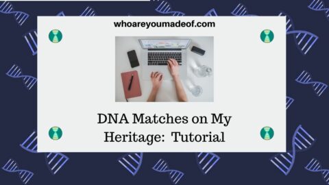 DNA Matches on My Heritage: Tutorial - Who are You Made Of?