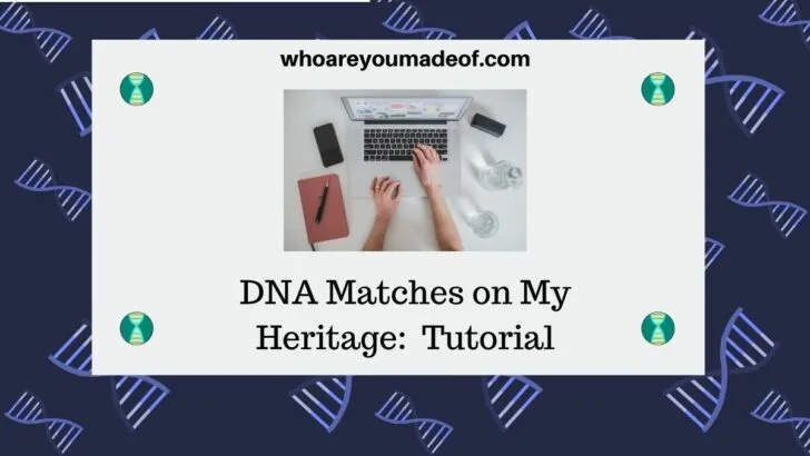 DNA Matches on My Heritage Tutorial