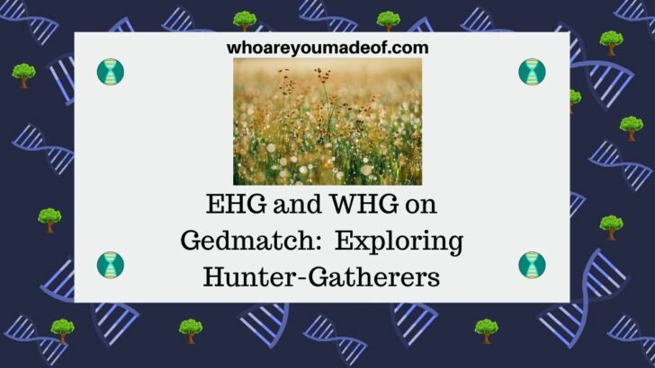 EHG and WHG on Gedmatch Exploring Hunter-Gatherers