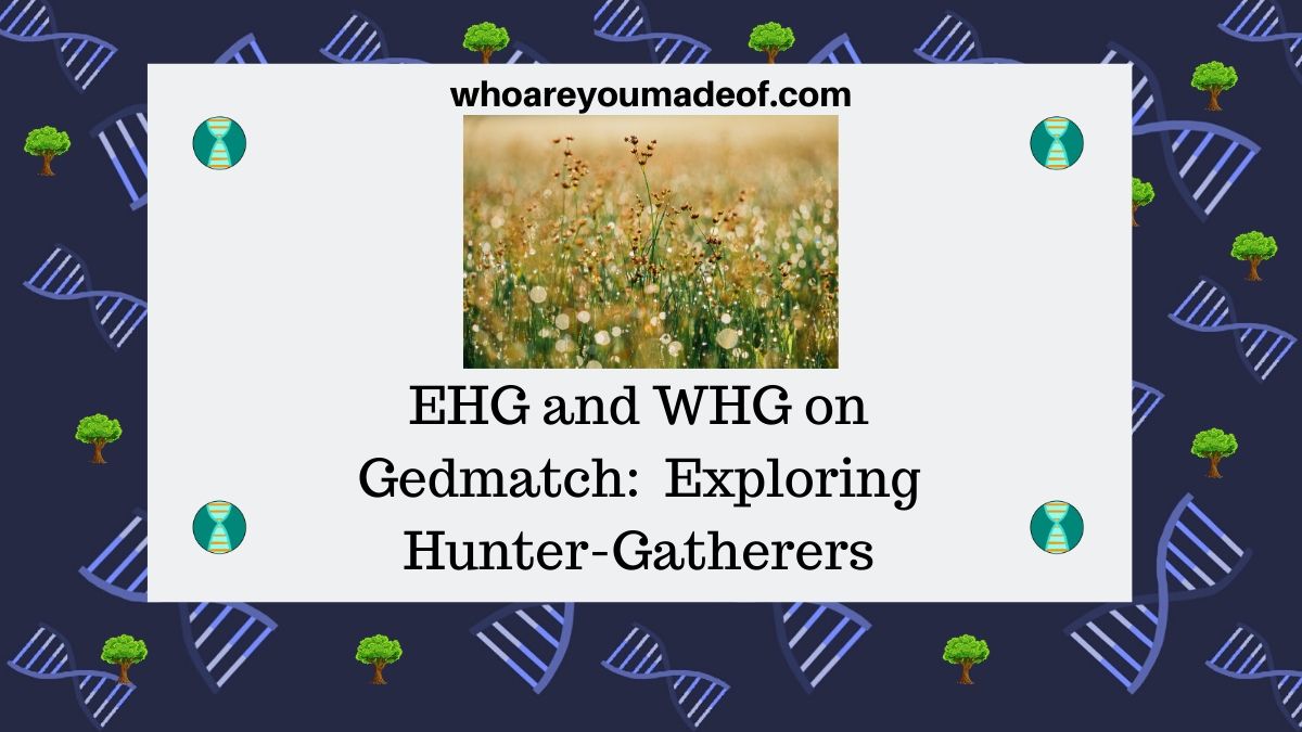 EHG and WHG on Gedmatch Exploring Hunter-Gatherers