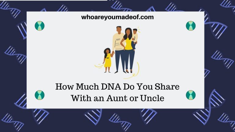 How Much DNA Do You Share With An Aunt Or Uncle? - Who Are You Made Of?