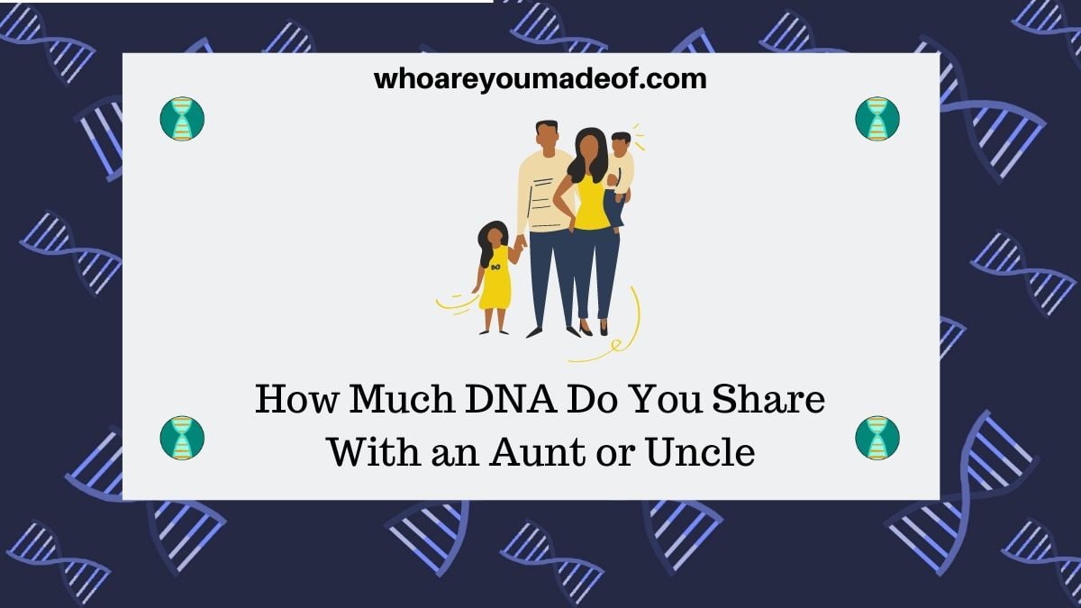 How Much DNA Do You Share With an Aunt or Uncle