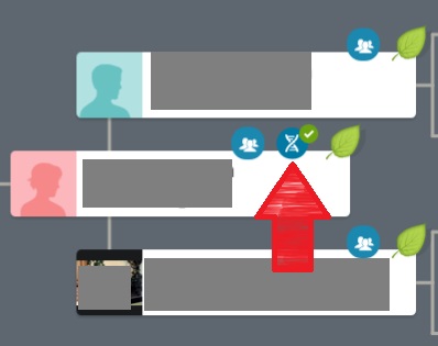 This image displays an example of a DNA match that has already been linked to their position in the family tree.  The DNA icon is blue, and there is a green check-mark next to it