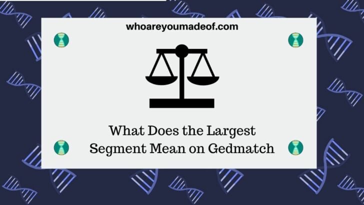 What Does the Largest Segment Mean on Gedmatch