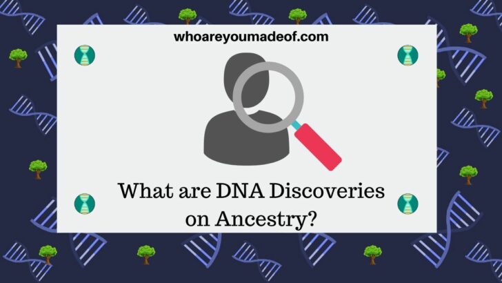 What are DNA Discoveries on Ancestry