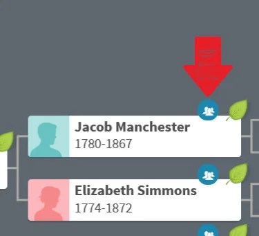 The image shows an example of the ThruLines icon visible directly from a family tree on Ancestry.  The red arrow indicates the blue ThruLines icon