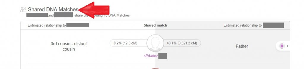 Red arrow pointing to the Shared DNA Matches section of the DNA match profile on My Heritage DNA