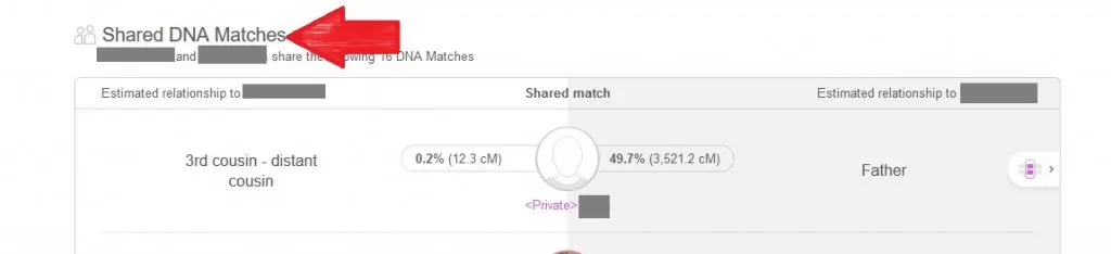 Red arrow pointing to the Shared DNA Matches section of the DNA match profile on My Heritage DNA