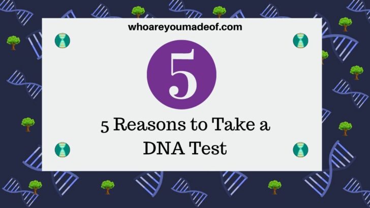 5 Reasons to Take a DNA Test