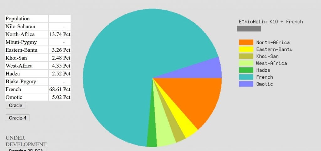 Example of EthioHelix results on Gedmatch - this person has approximately 11% DNA matching African regions on other sites and shows about 18% with this admixture calculator