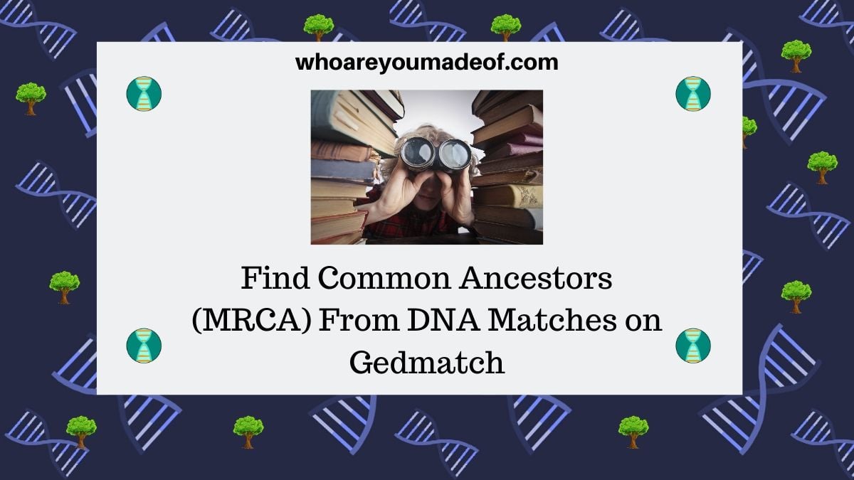 Find Common Ancestors (MRCA) From DNA Matches on Gedmatch