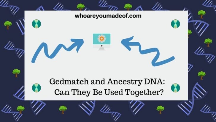Gedmatch and Ancestry DNA Can Gedmatch and Ancestry DNA Can They Be Used Together Be Used Together (1)