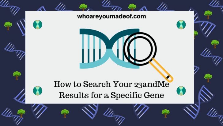 How to Search Your 23andMe Results for a Specific Gene