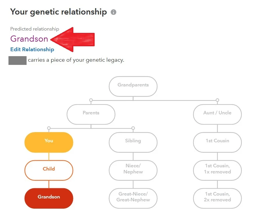 Red arrow points to Grandson, the predicted relationship on 23andMe.  Graphic also includes relationship chart showing how DNA match (grandson) is possibly related