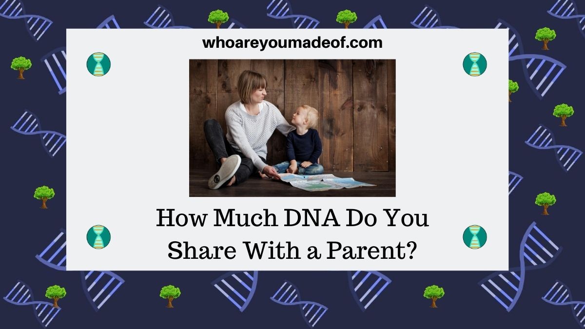 How Much DNA Do You Share With a Parent? - Who are You ...