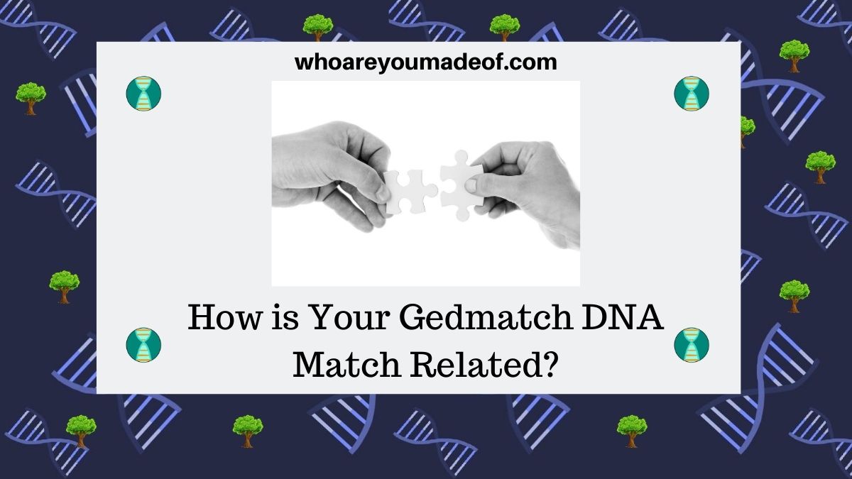 How is Your Gedmatch DNA Match Related