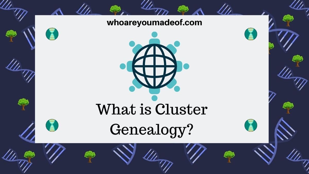 What is Cluster Genealogy