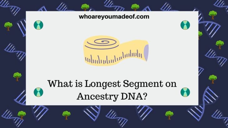 What is Longest Segment on Ancestry DNA